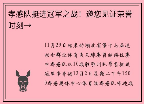 孝感队挺进冠军之战！邀您见证荣誉时刻→